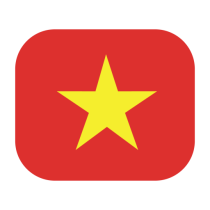cropped vietnam flags
